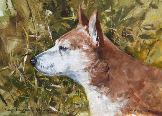 Buddy, the Neighbour�s Dog